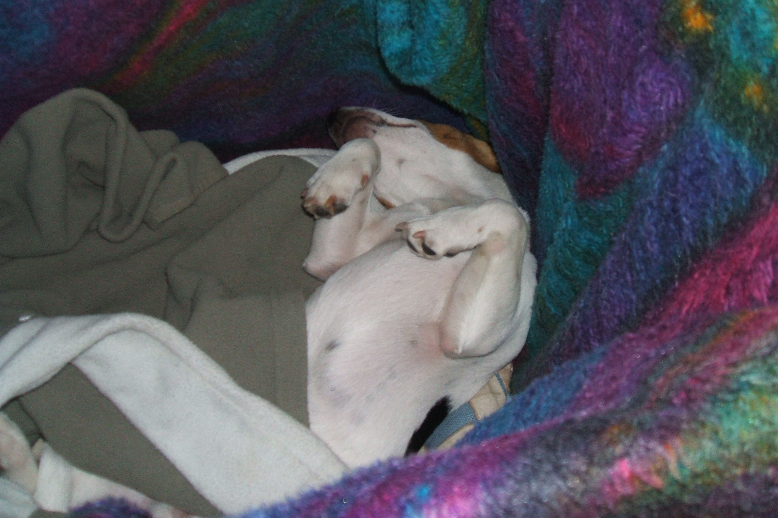 Sammy – erstes Erinnerungsfoto