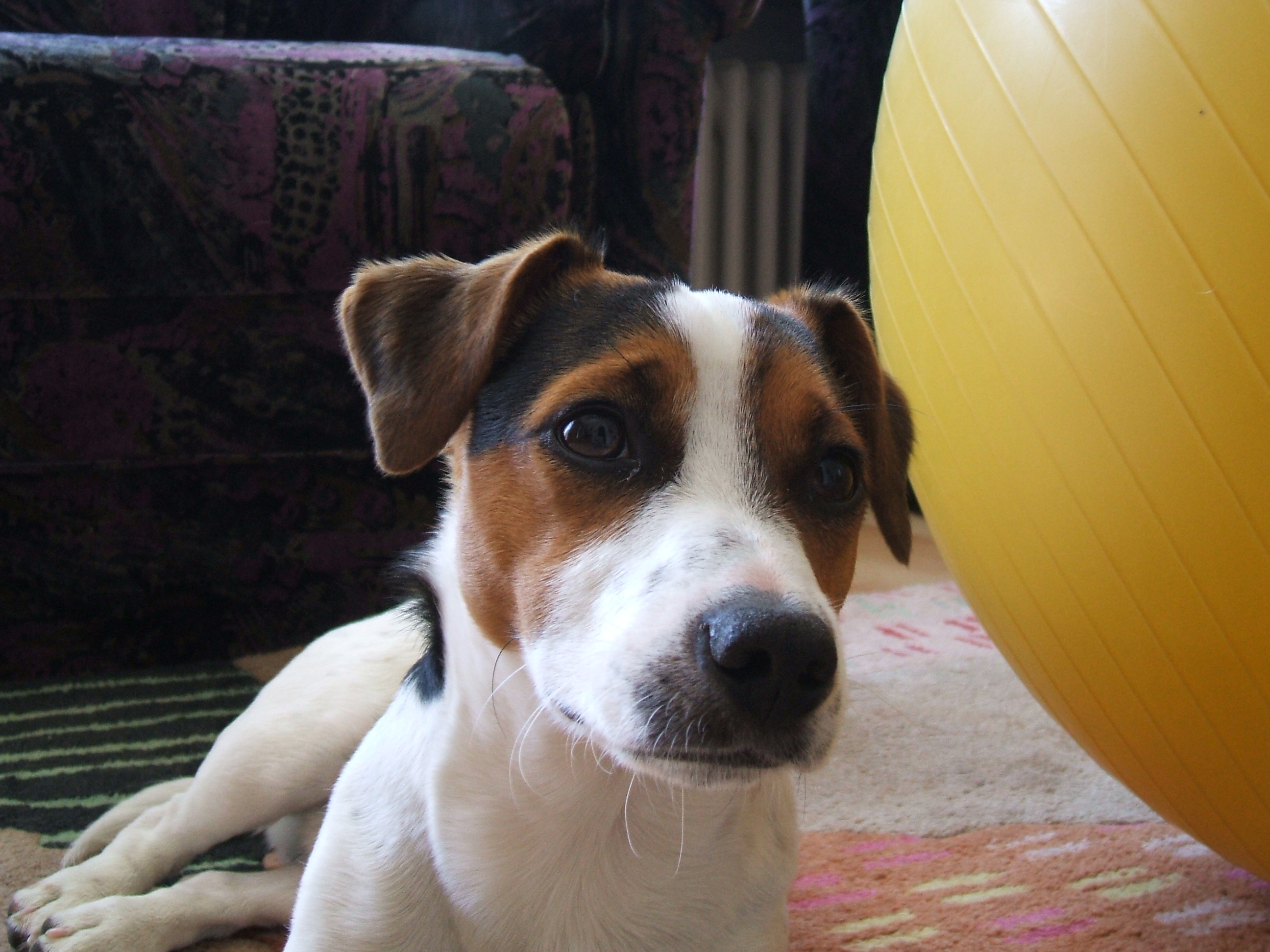 Sammy – zweites Erinnerungsfoto